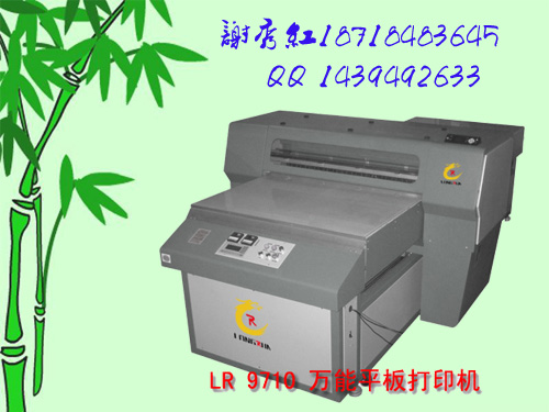 2010112438618533.jpg