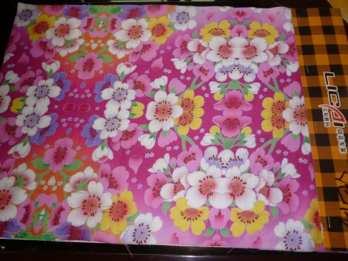 2012062050725313.jpg