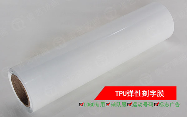 TUP����Ĥ600.jpg