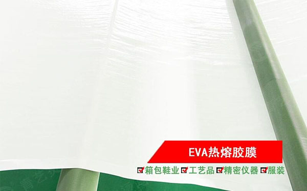 EVA���۽�Ĥ600.jpg